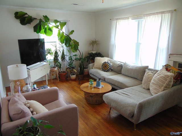 living room with wood-type flooring, a healthy amount of sunlight, and crown molding