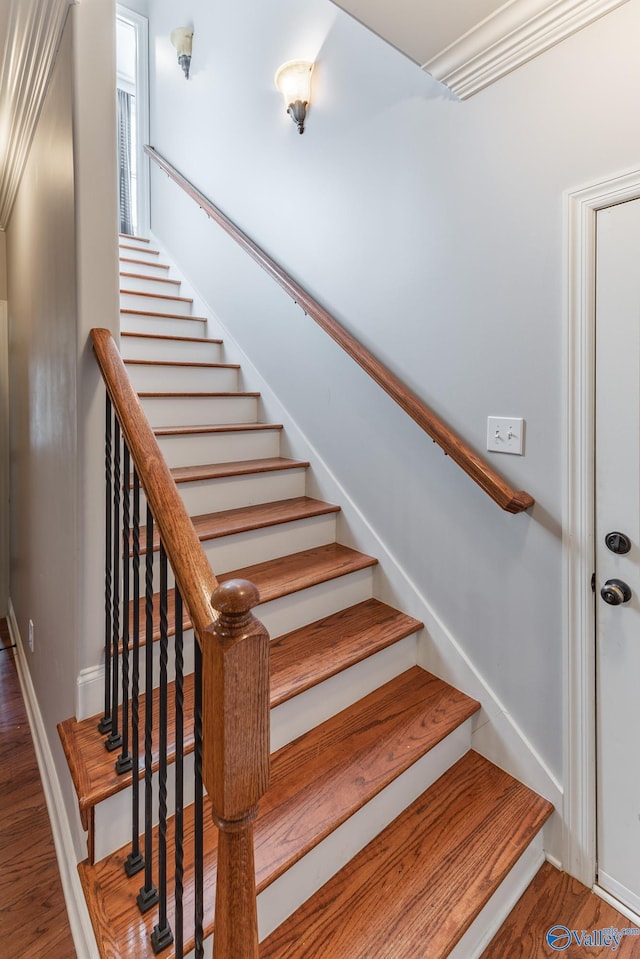 staircase featuring hardwood / wood-style floors