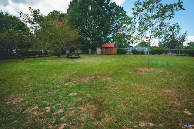 view of yard with a storage shed