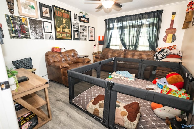 living room featuring light hardwood / wood-style floors, ceiling fan, and crown molding