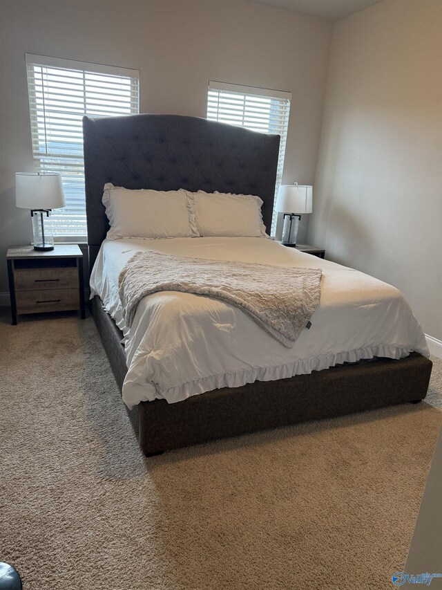 115 Richard Rd NE, Huntsville, AL 35811 - view of carpeted bedroom