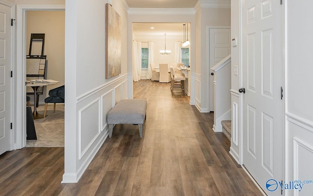 corridor featuring dark wood-type flooring and crown molding