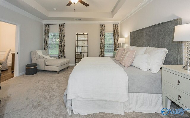 bedroom featuring light colored carpet, a raised ceiling, and ceiling fan