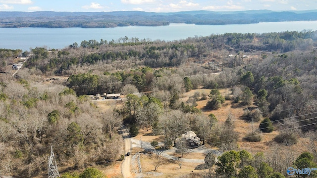 birds eye view of property featuring a water and mountain view