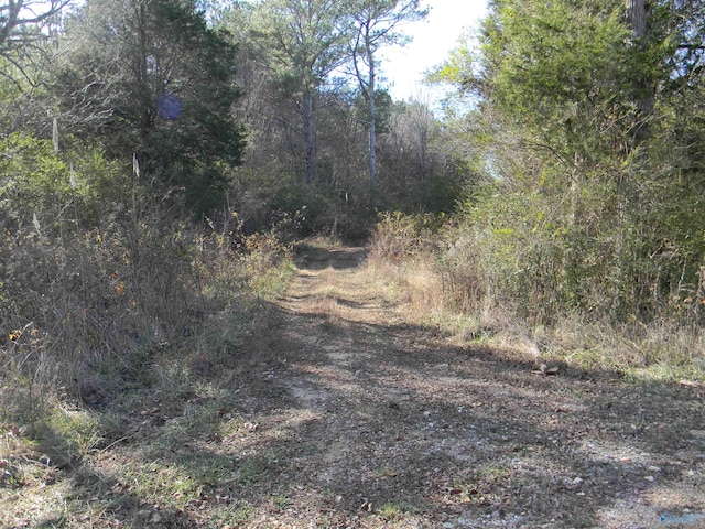 TRACK6 County Road 41, Gaylesville AL, 35973 land for sale