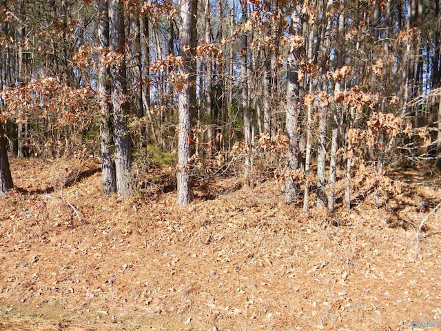 Listing photo 3 for TRACK6 County Road 41, Gaylesville AL 35973