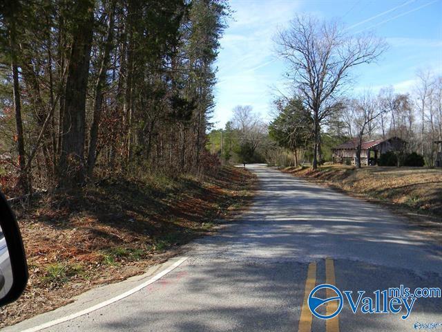 TRACK6 County Road 41, Gaylesville, AL 35973