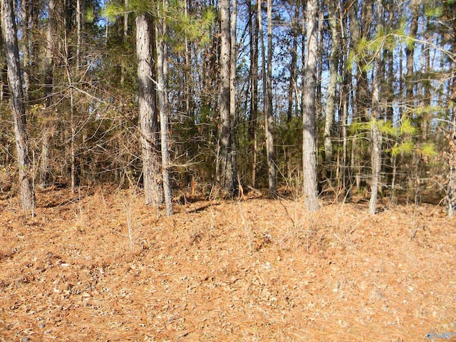 TRACK6 County Road 41, Gaylesville, AL 35973
