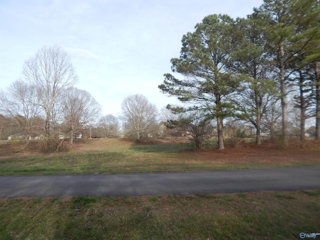 Listing photo 3 for LOT10 Garden Gate Cir, Crossville AL 35962