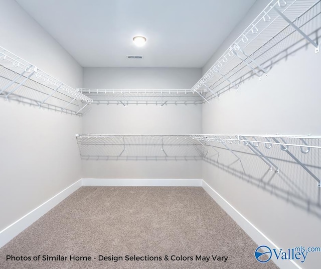 1112 Hine St, Athens, AL 35611 - spacious closet with carpet flooring