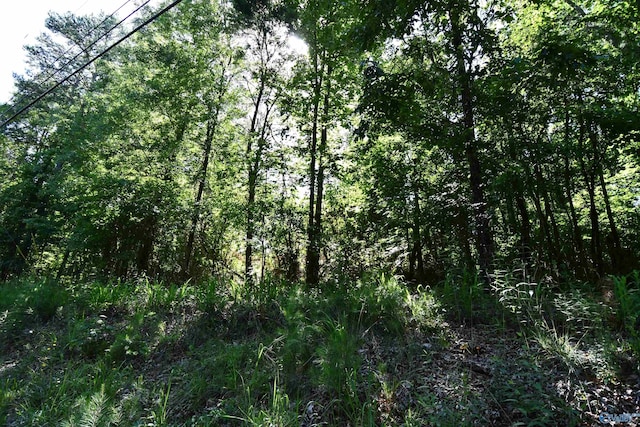 Listing photo 2 for 5.86AC Scenic Hwy, Gadsden AL 35904