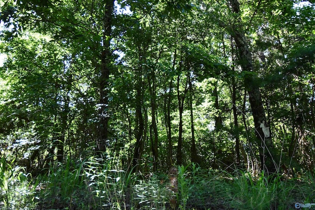 Listing photo 3 for 5.86AC Scenic Hwy, Gadsden AL 35904