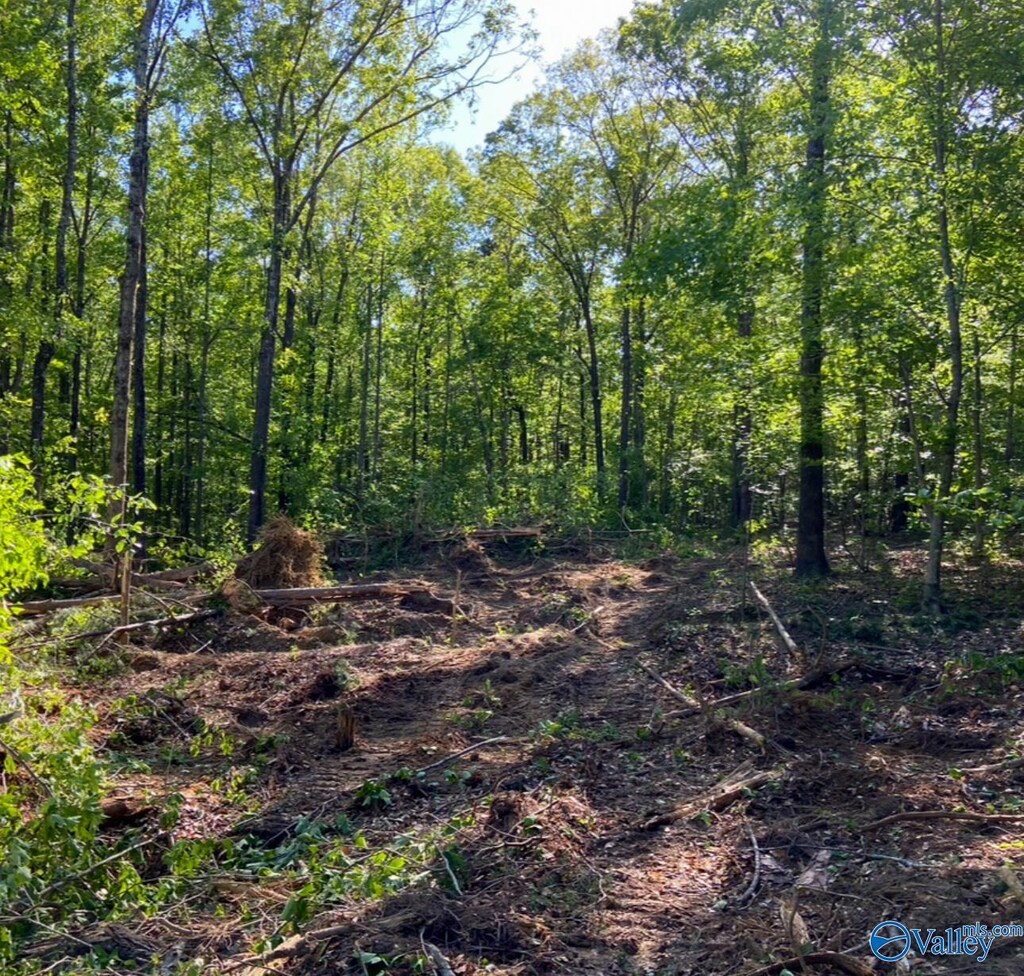1ACRE County Road 279, Moulton, AL 35650