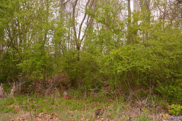 2205 E Willow St, Scottsboro, AL 35768