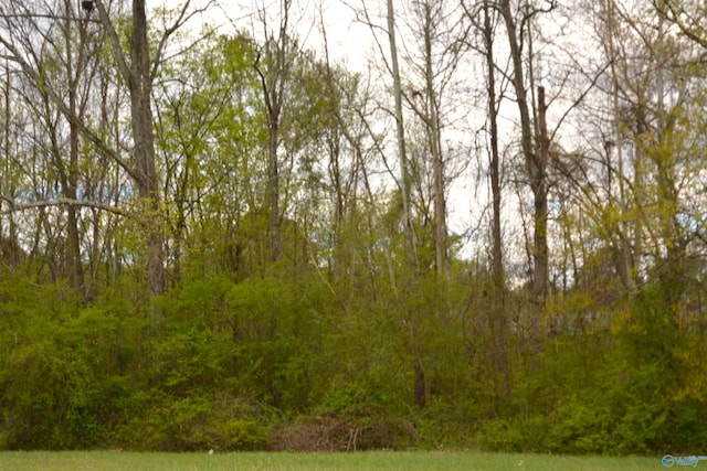 2205 E Willow St, Scottsboro, AL 35768
