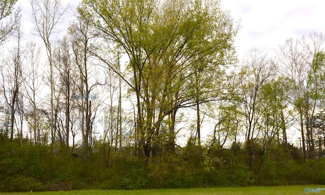 2205 E Willow St, Scottsboro, AL 35768