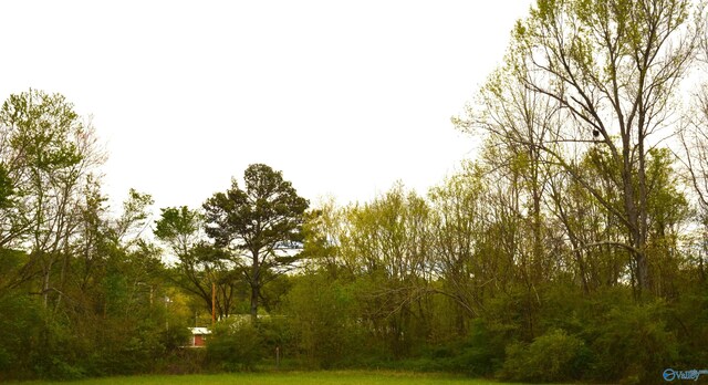 2205 E Willow St, Scottsboro, AL 35768