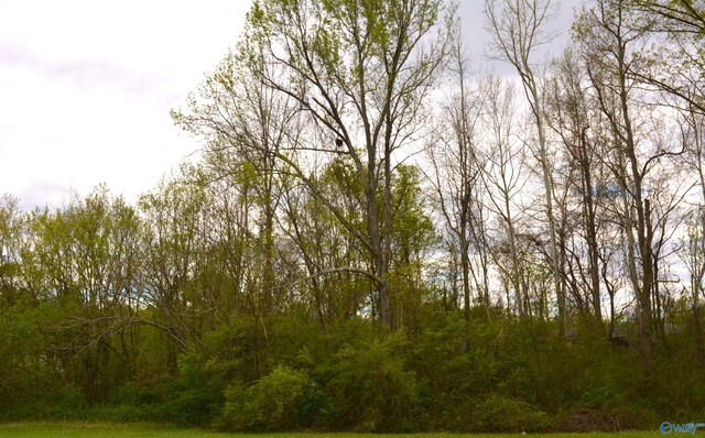 2205 E Willow St, Scottsboro, AL 35768