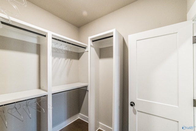 view of walk in closet