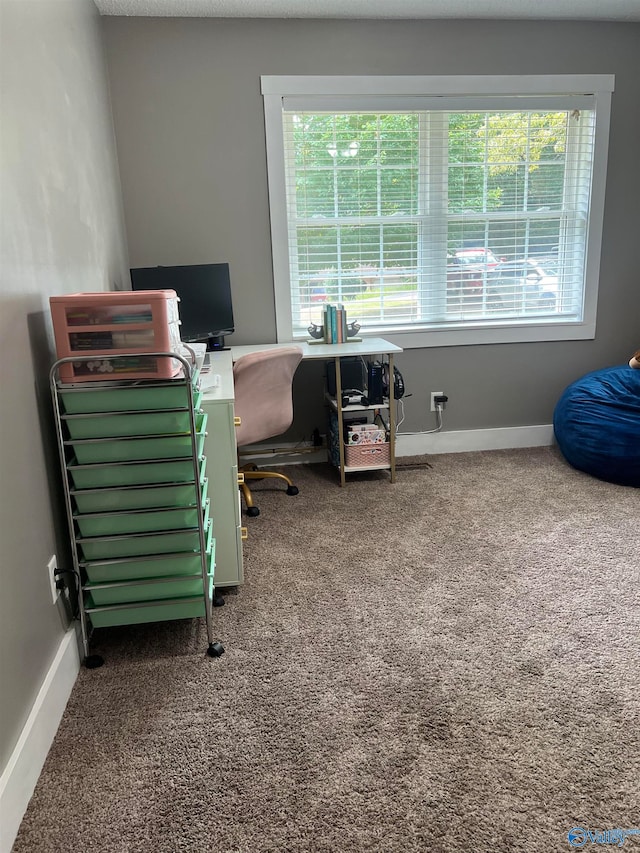 carpeted office space featuring a healthy amount of sunlight