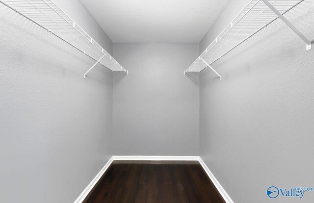 walk in closet featuring hardwood / wood-style flooring