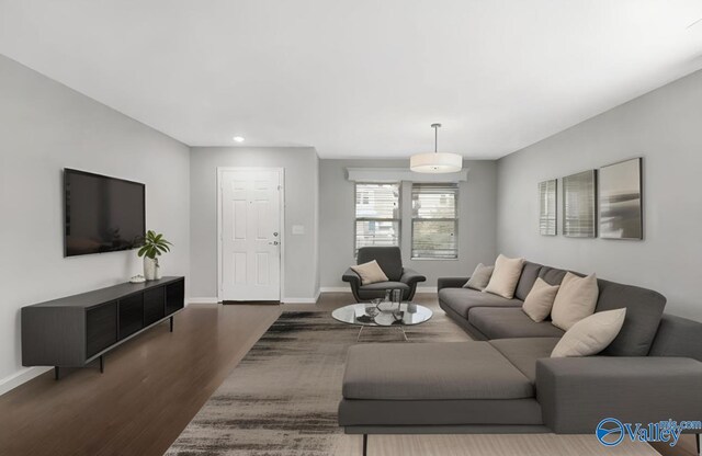 living room with dark wood-type flooring