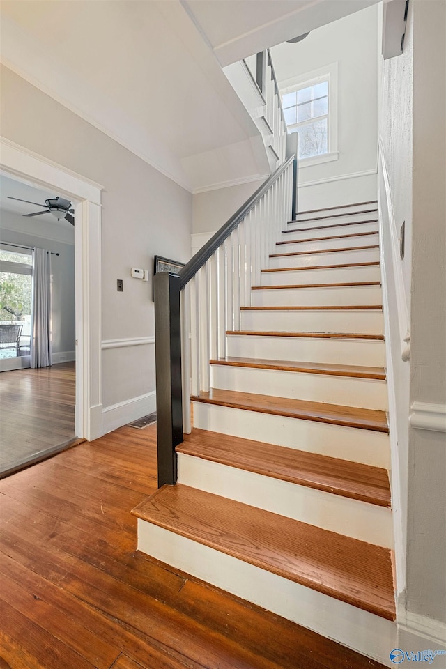 stairway featuring hardwood / wood-style flooring and ceiling fan