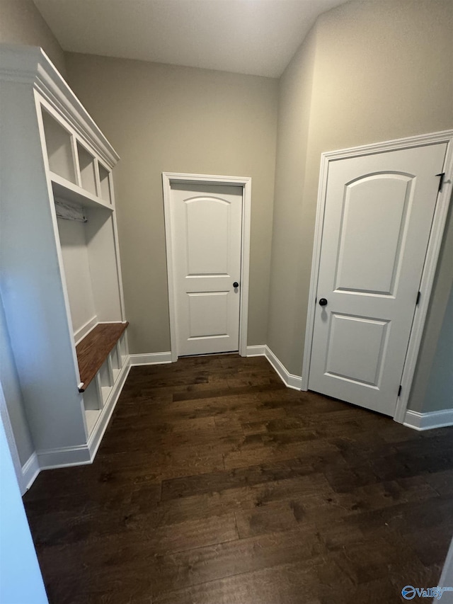 mudroom featuring dark hardwood / wood-style floors