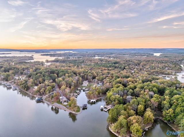 aerial view at dusk featuring a water view