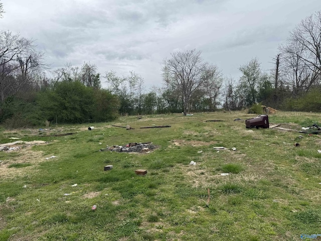 8905 Holt Springer Rd, Athens, AL 35611
