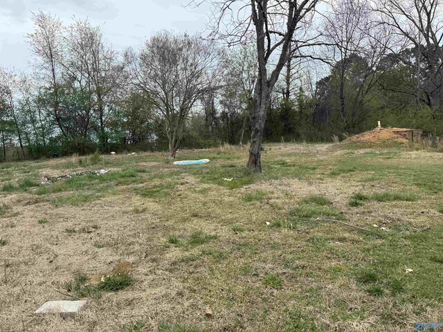 8905 Holt Springer Rd, Athens, AL 35611