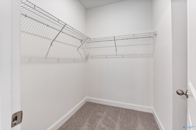 162 River Pointe Dr, New Market, AL 35761 - spacious closet with carpet floors