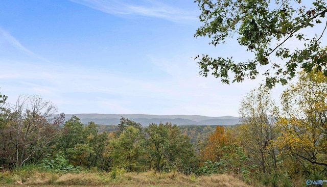 view of mountain feature