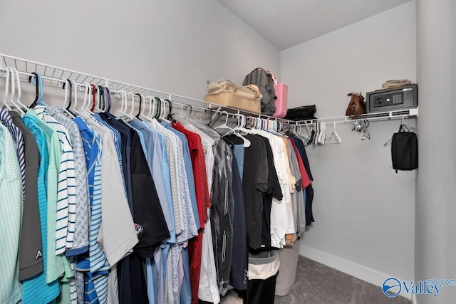 walk in closet featuring carpet