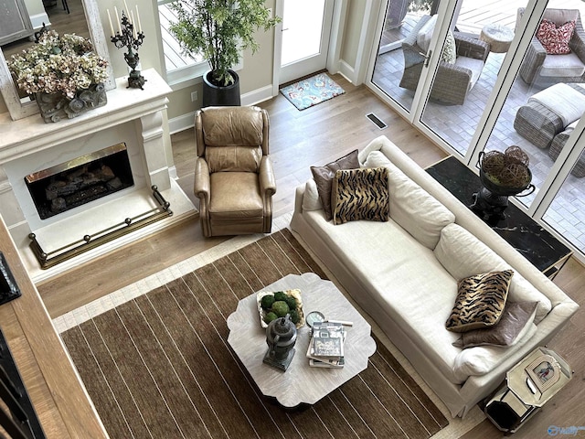 living room with a fireplace and hardwood / wood-style floors