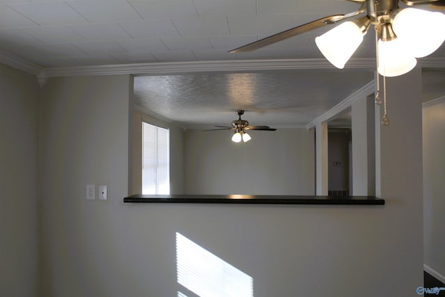 interior details featuring ceiling fan and crown molding