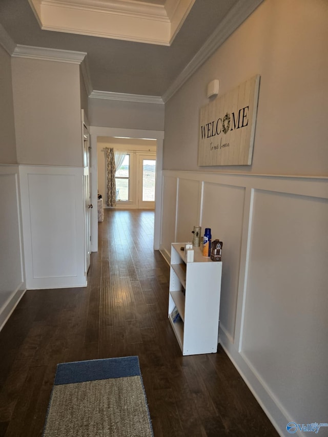 hallway featuring dark wood-type flooring, ornamental molding, a tray ceiling, wainscoting, and a decorative wall