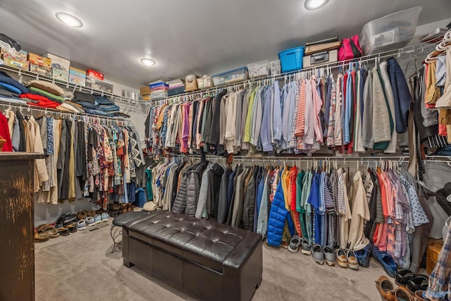 199 Ford Chapel Dr, Harvest, AL 35749 - spacious closet with carpet flooring