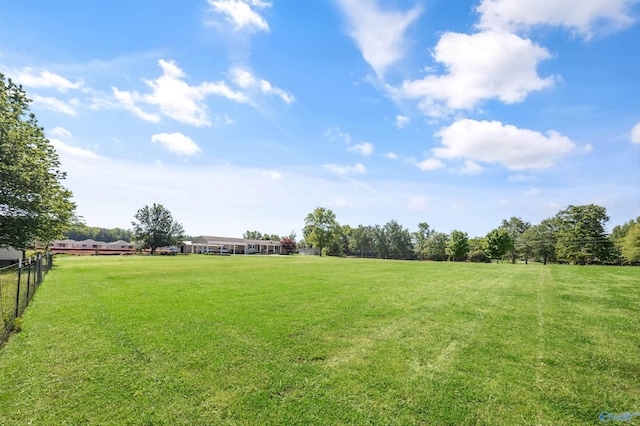 199 Ford Chapel Dr, Harvest, AL 35749 - view of yard