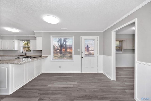 kitchen with white cabinetry, dark wood-type flooring, a textured ceiling, and light stone counters