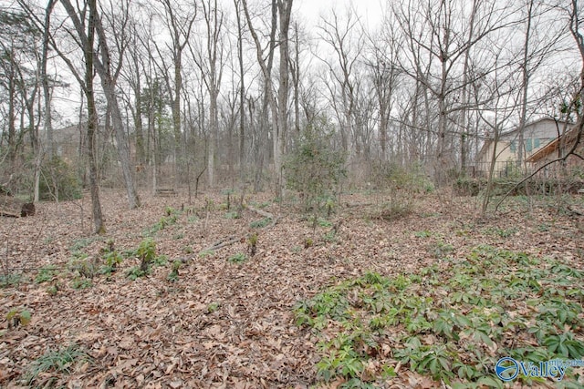 view of local wilderness