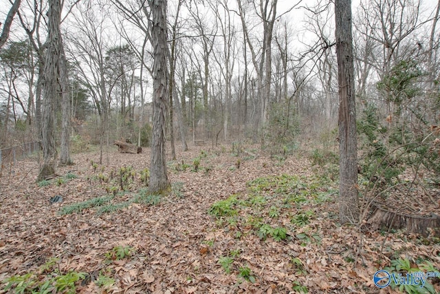 view of local wilderness