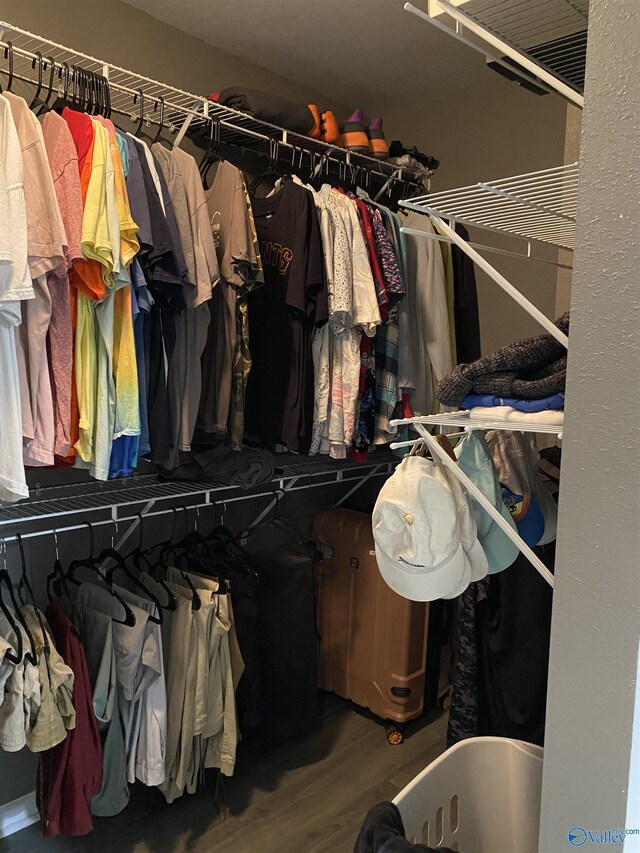 walk in closet featuring wood finished floors