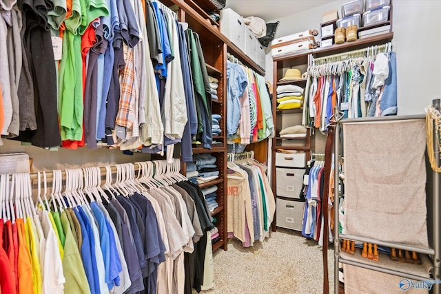 view of spacious closet