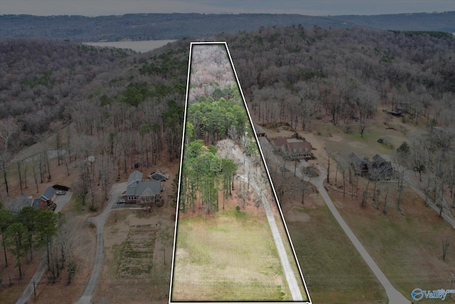 drone / aerial view featuring a view of trees