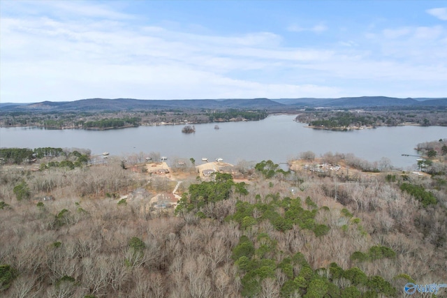 water view featuring a mountain view