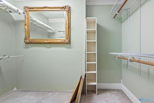 walk in closet featuring carpet