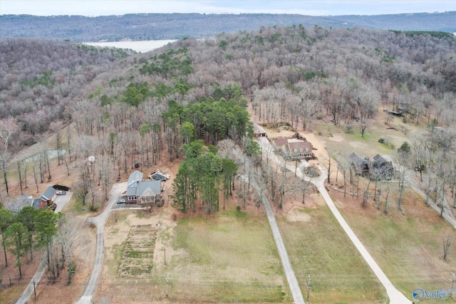 bird's eye view featuring a rural view and a forest view