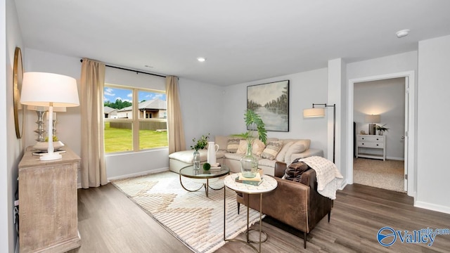 living room with dark hardwood / wood-style floors