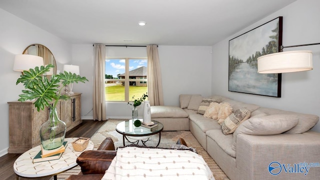 living room with wood-type flooring